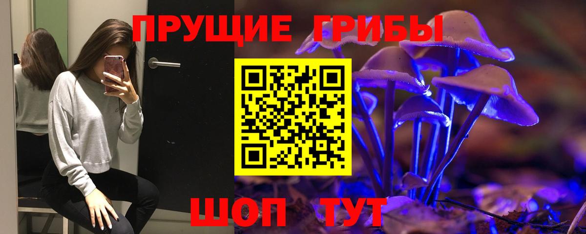 Галлюциногенные грибы Psilocybine cubensis Каменск-Уральский